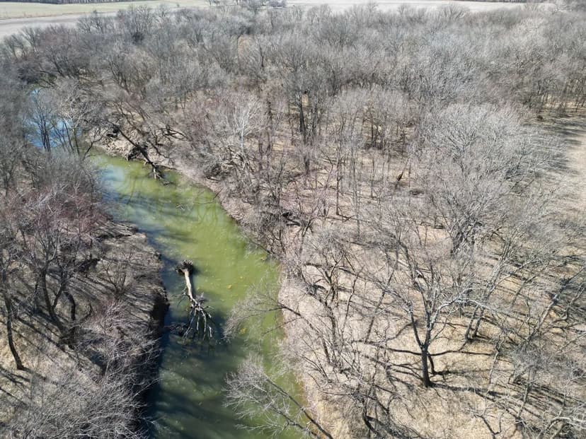 Land For Sale in Headland AL 5 +/- ac