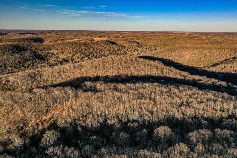 91 +/- Acre Hunting & Timber Tract with Cabin