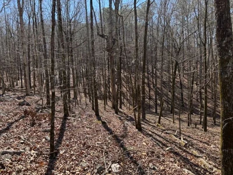 57.85 Acres Harris County, GA