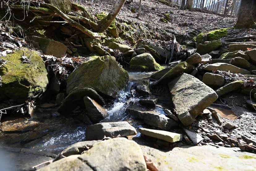 488+/-ac in Rockdale County