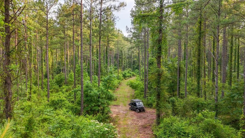 Price Reduced! 96± Acres - Homestead & Hunting | Harris County, GA