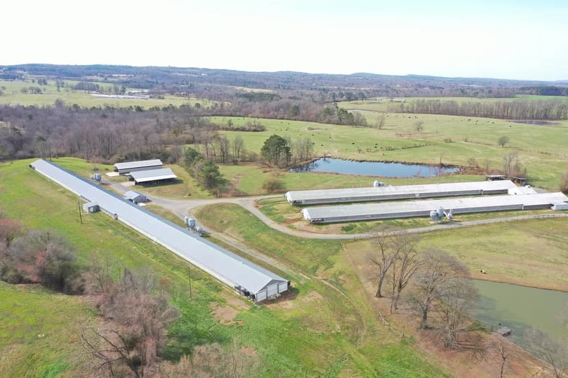 John and Joel Breeder Farm – 4-House Breeder Hen Farm on 12.5+/- Acres