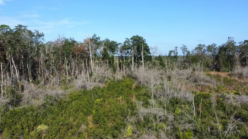 Custom 2,752 Sq ft Home on 154 Acres - Oakridge Rd. Warren County, MS