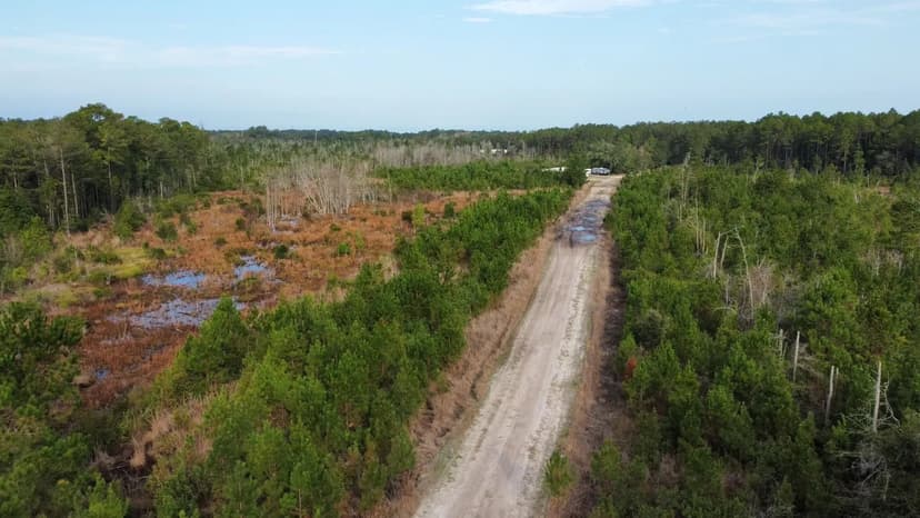 19 +/- Ac Pine Plantation with Flowing Stream, Tallapoosa County