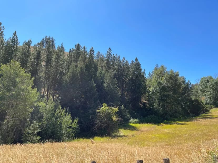 NEW PRICE - Providence Breeder Farm – Three House Farm near Pageland, SC