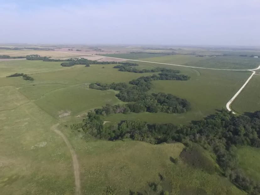 PRICE REDUCED! 67.5 +/- Acres with Cabin