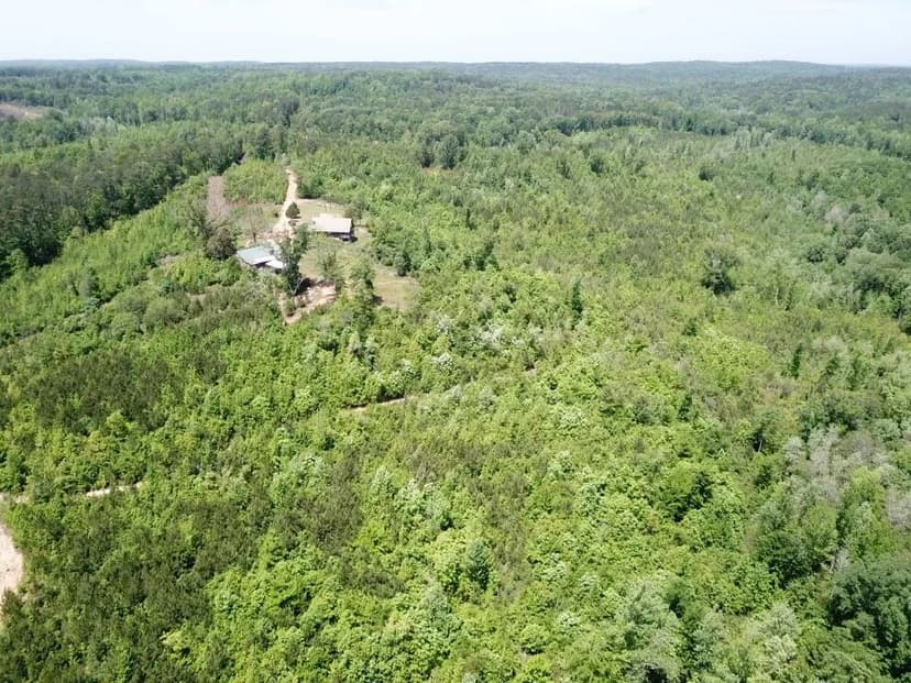 PRICE REDUCED! 67.5 +/- Acres with Cabin