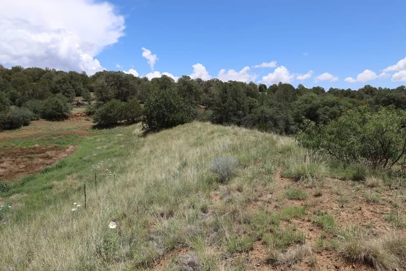 PRICE REDUCED - Thang Broiler Farm – Seven House Farm in Copiah County, Mississippi