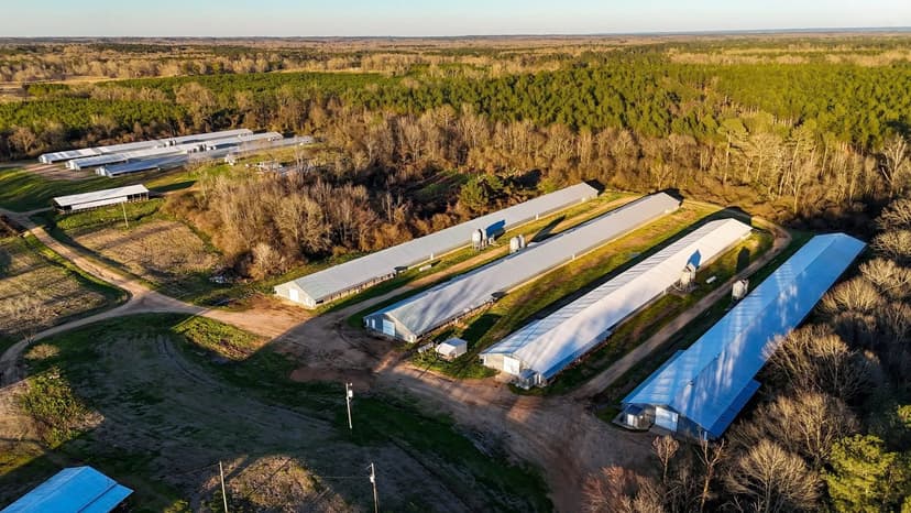 PRICE REDUCED - Thang Broiler Farm – Seven House Farm in Copiah County, Mississippi
