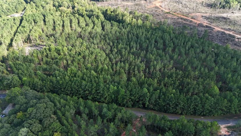 24.74+/- Ac, Pleasant Rd Camp Hill