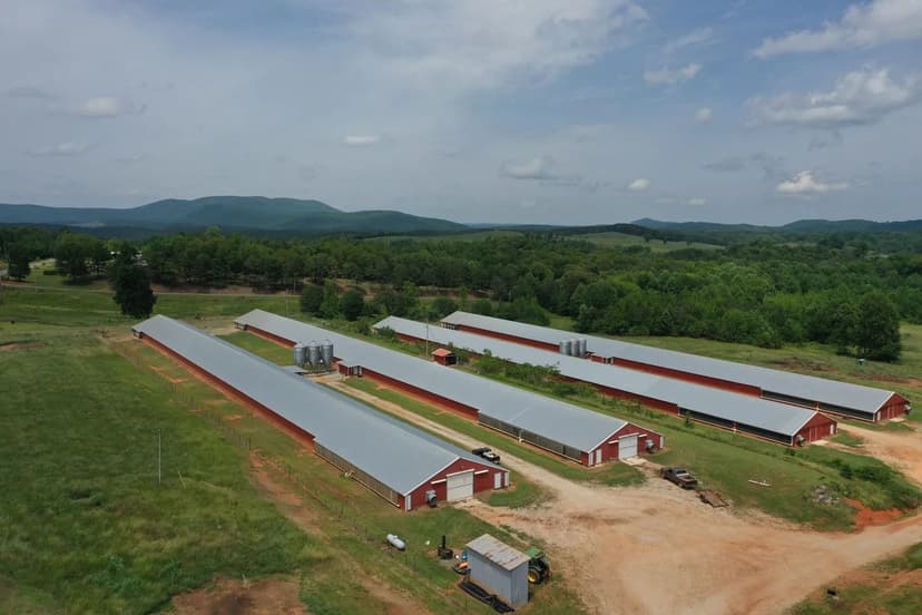 PRICE REDUCED - Solid Rock Broiler Farm – Four House Farm in Clay Co., AL
