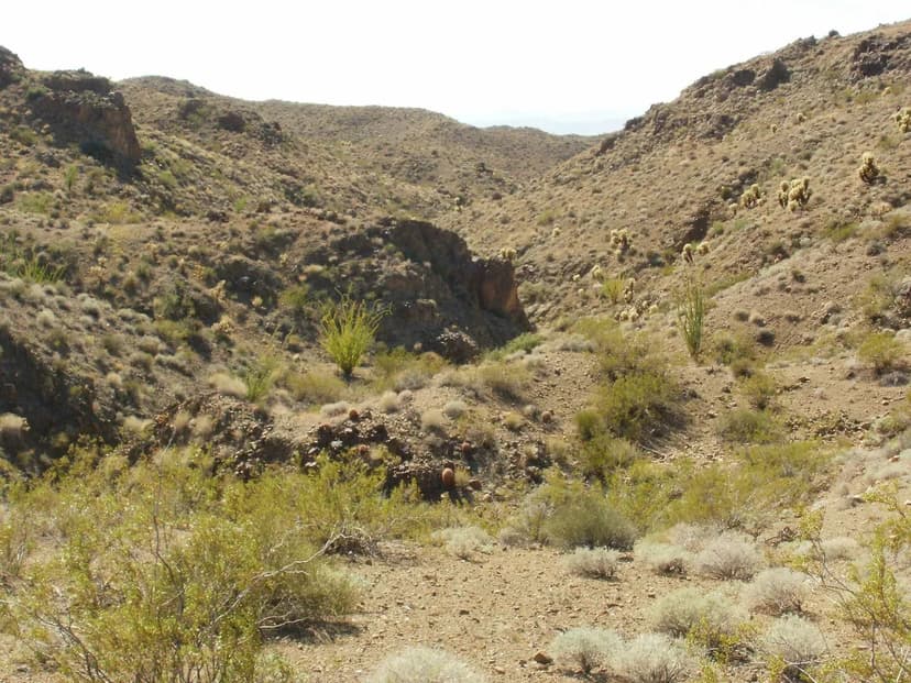 The Oliver Farmhouse