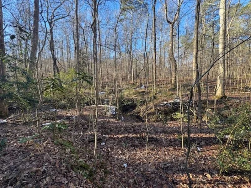 Rockdale County 10+/-acres