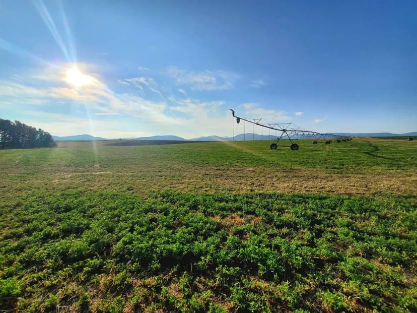 Buildable Lot Collinsville, AL