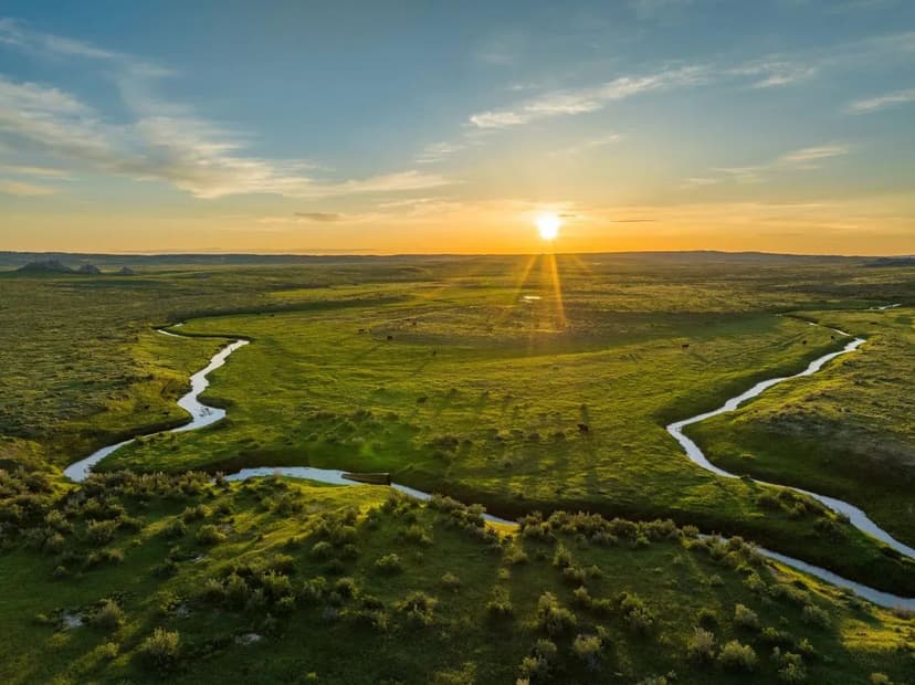 17.5 +/- Ac. County Road 865