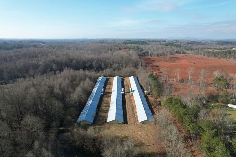 19+/- Acres - Habersham County, GA