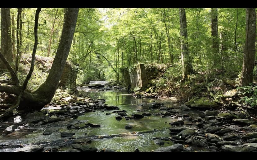 3 Acres Auburn City Limits - Swingle Creek Estates Lot 1