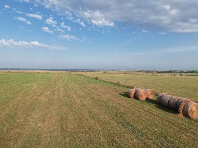 Duc Broiler Farm – 16 House Broiler Farm in Talladega County, Alabama