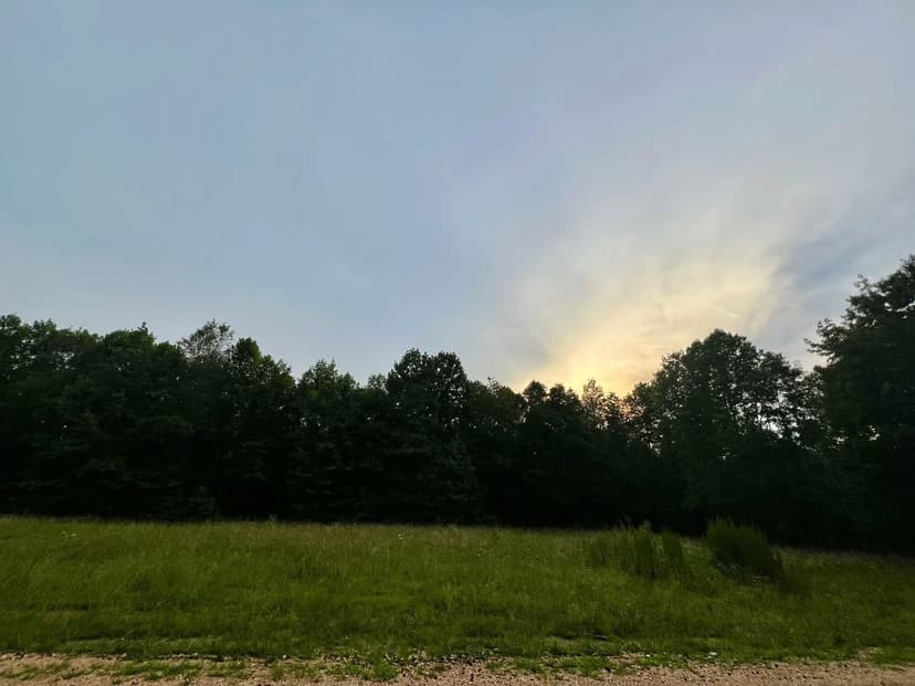 1.25 Buildable Acres