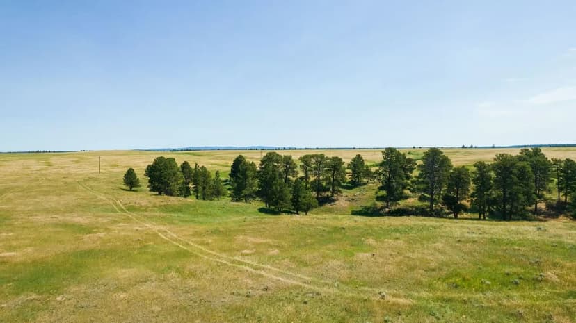 Yellow Jacket Creek Lot