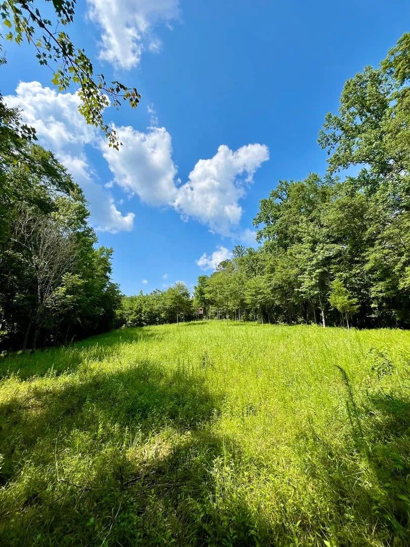 5 +/- Acres in Wadley, AL