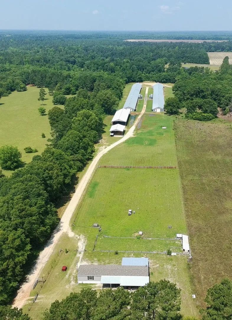 Aung Breeder Farm – Two House Farm in Barnwell County, SC
