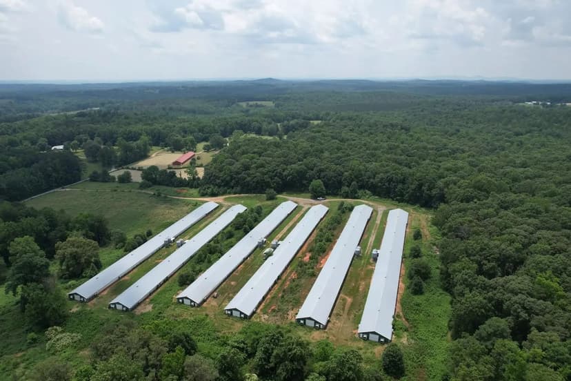 Styles Broiler Farm – Six House Farm in Dawson County, Georgia