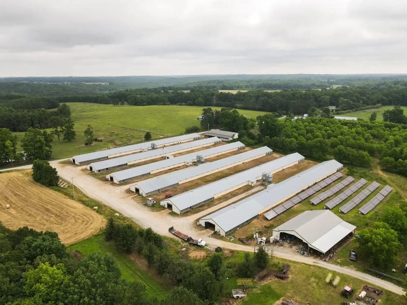 CV Broiler Farm – Six House Farm in Cullman County, AL