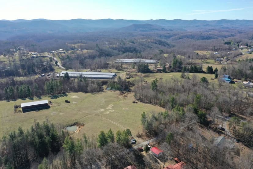 SALE PENDINIG - Big Branch Farm – Breeder Houses & Pasture in Pine Knot, KY