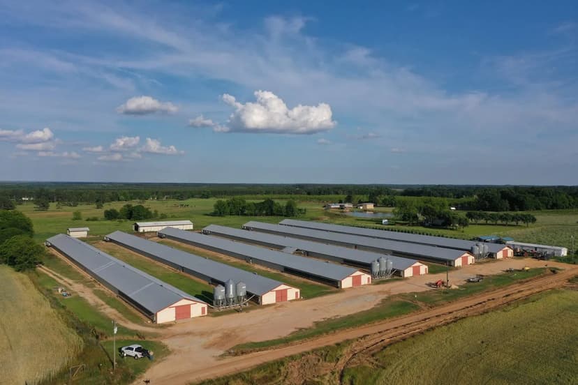 Dayquans Broiler Farm – Six House Farm near Abbeville, Georgia