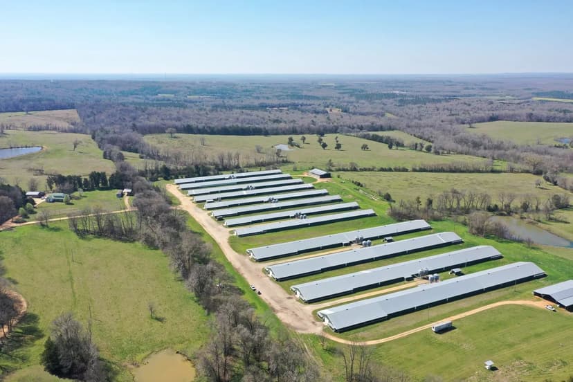 TNRN 12 House Broiler Farm – Lowndes County, AL