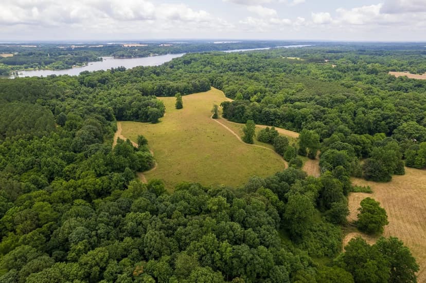 41+/- Acres in Limestone County
