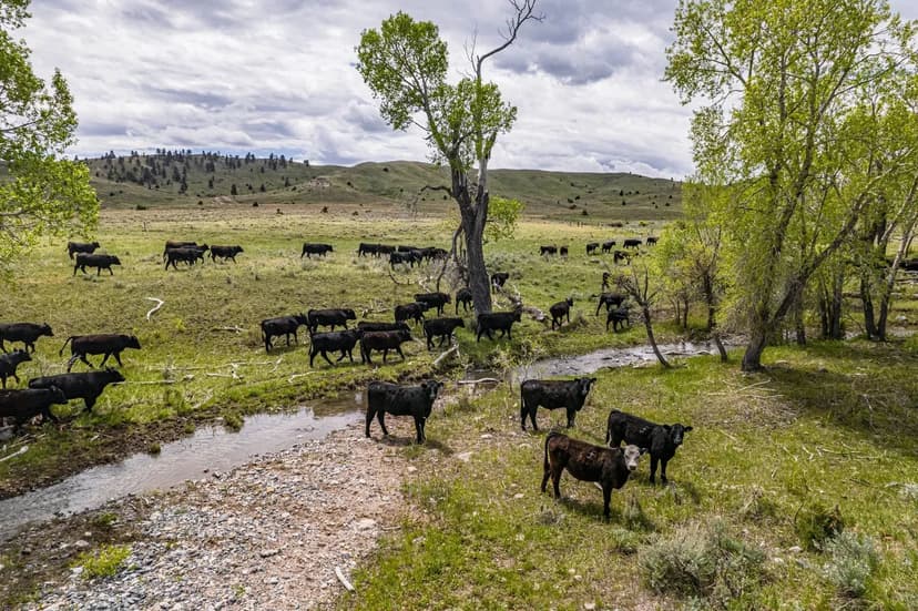 69 ac. Near Lookout Mountain