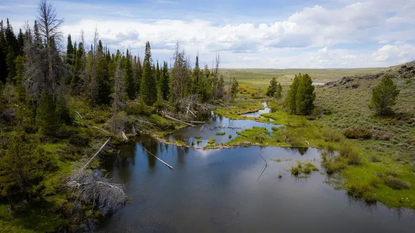 PENDING - Sugar Broiler Farm – Eight House Farm in Simpson County, Mississippi