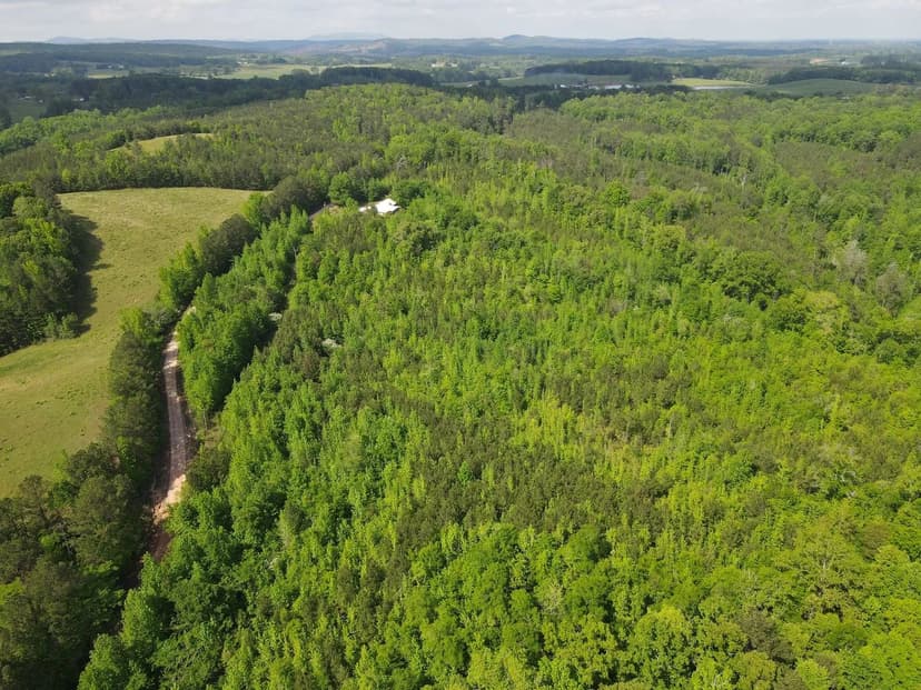 18+/- acres Store Rd