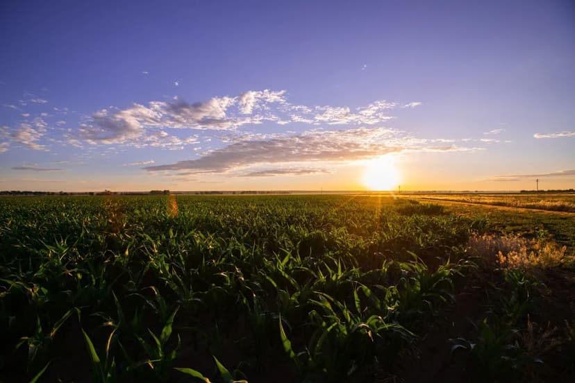 110+/- Ac Macon County, AL