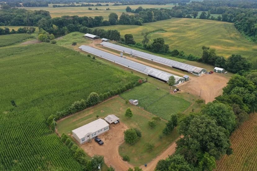 Nerdz Breeder Farm – Two House Farm in Troy, TN