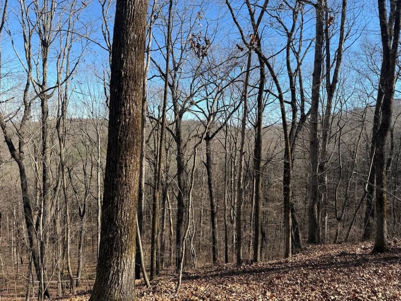 TURKEY HAVEN MOUNTAIN - LOT 1