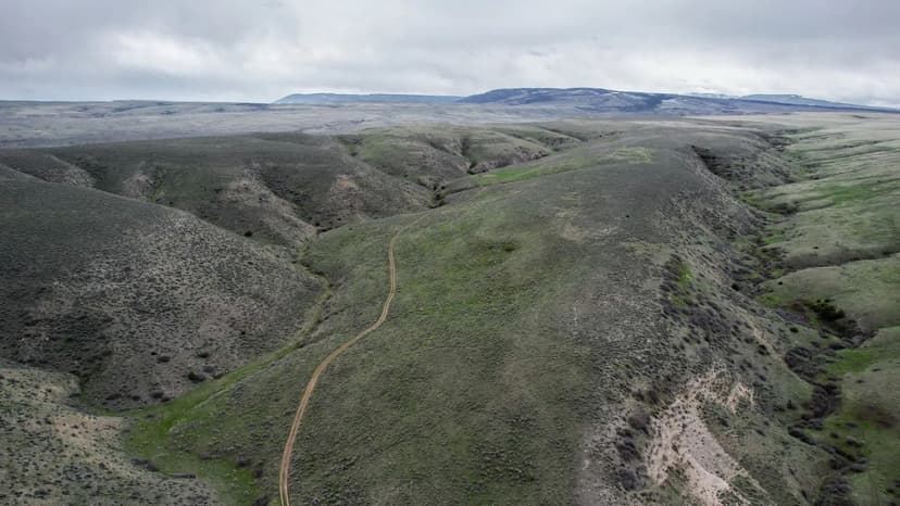 Talladega County Mini Farm 7.8 acres