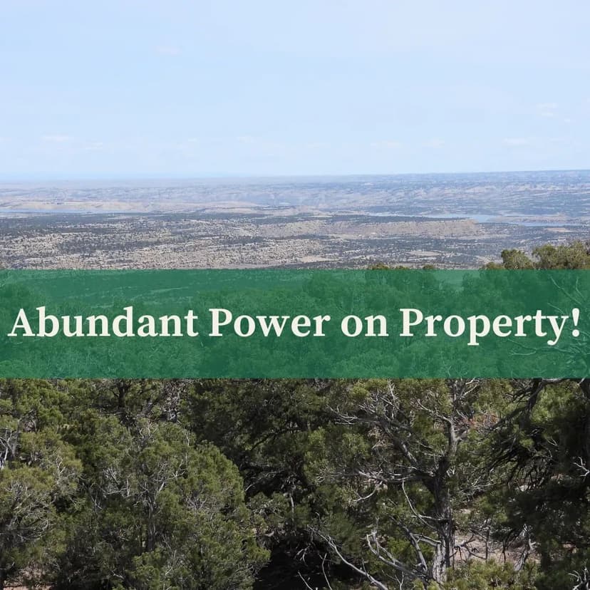 284+/- Acres Franklin County AL