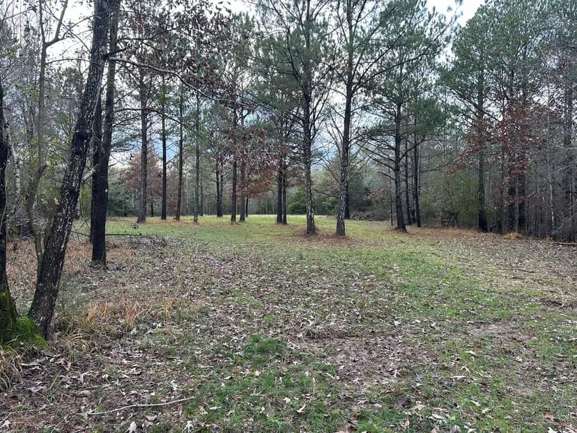 284+/- Acres Franklin County AL