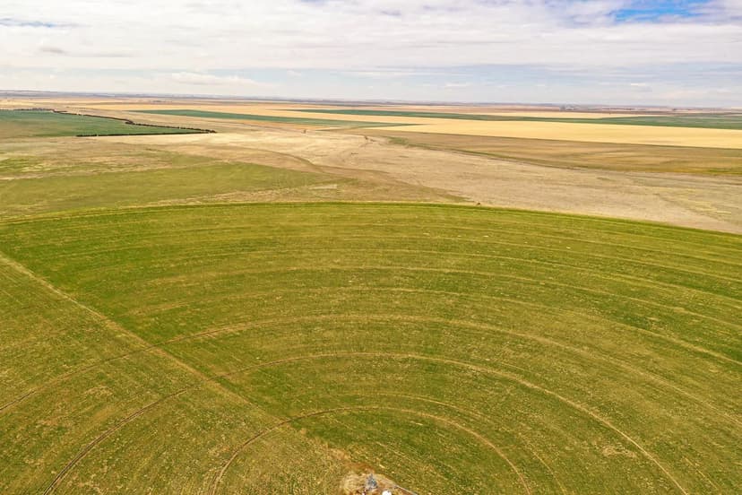 38+/- Acres Near Haleyville