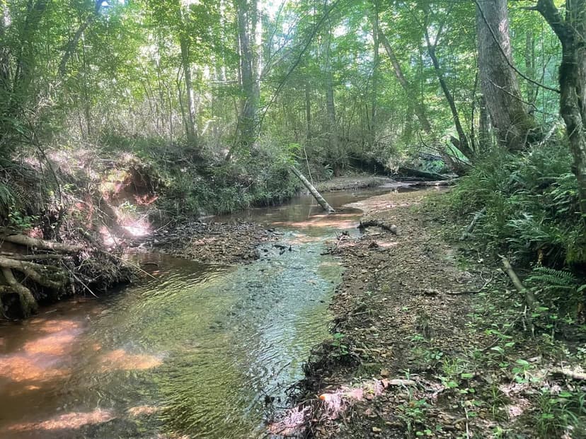 27 +/- ac on Dipping Vat Creek