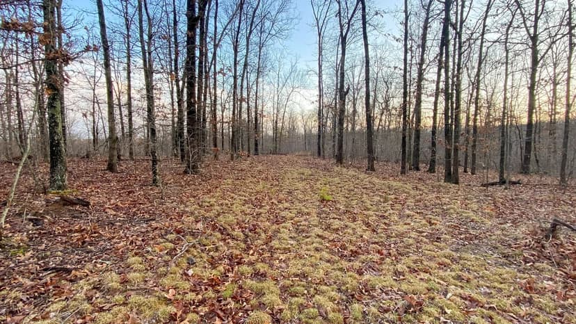 57 +/- ac on Dipping Vat Creek