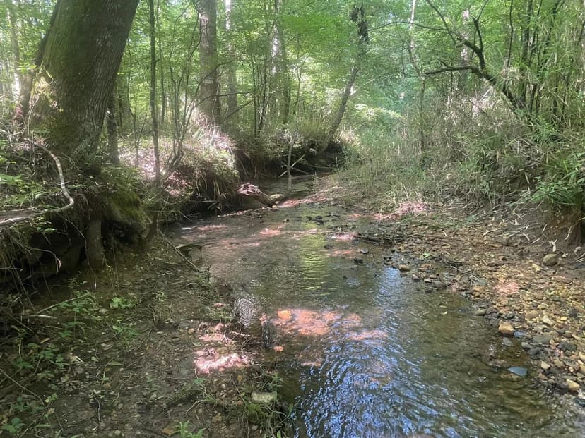 57 +/- ac on Dipping Vat Creek