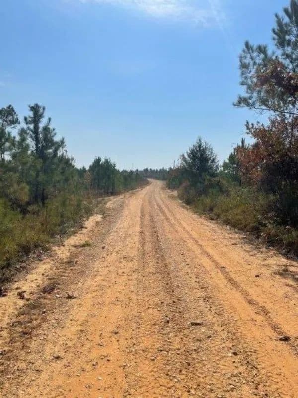 229+/-AC Sunset Rd Lamar Co.