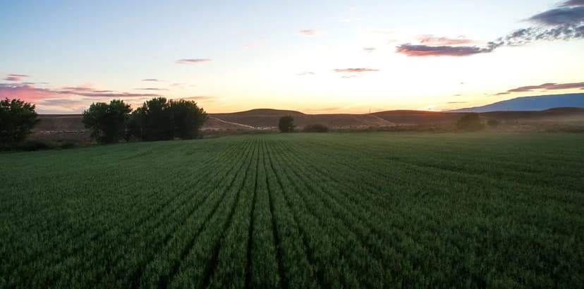 Big Texas Valley Lot - Armuchee, GA