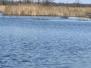 Historic Storefronts