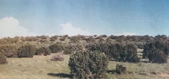 PRICE REDUCED! Spring Cliff Broiler Farm