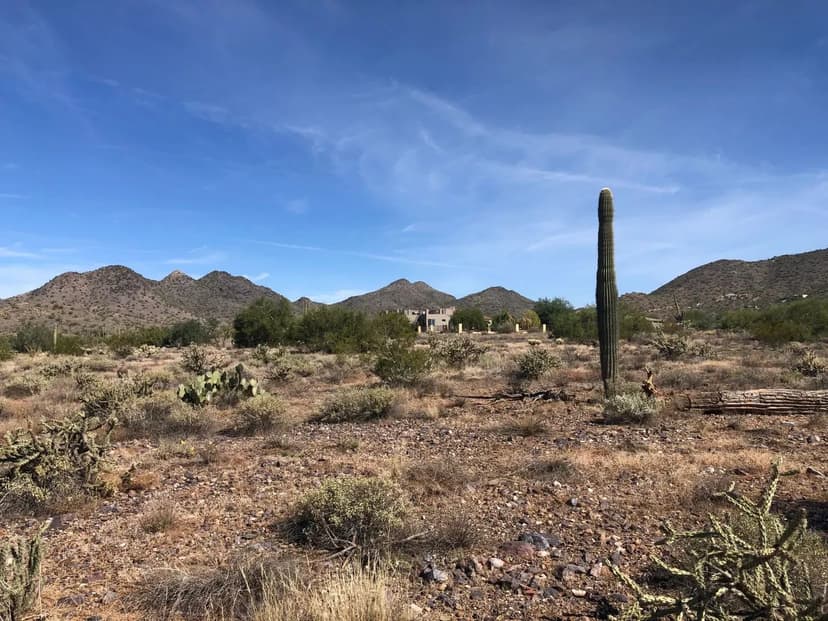 PRICE REDUCED! 67.5 +/- Acres with Cabin